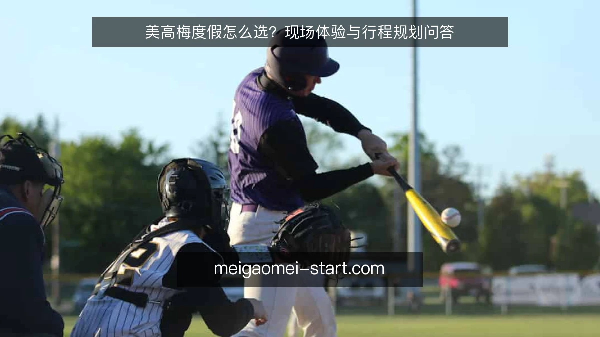 美高梅度假怎么选?现场体验与行程规划问答