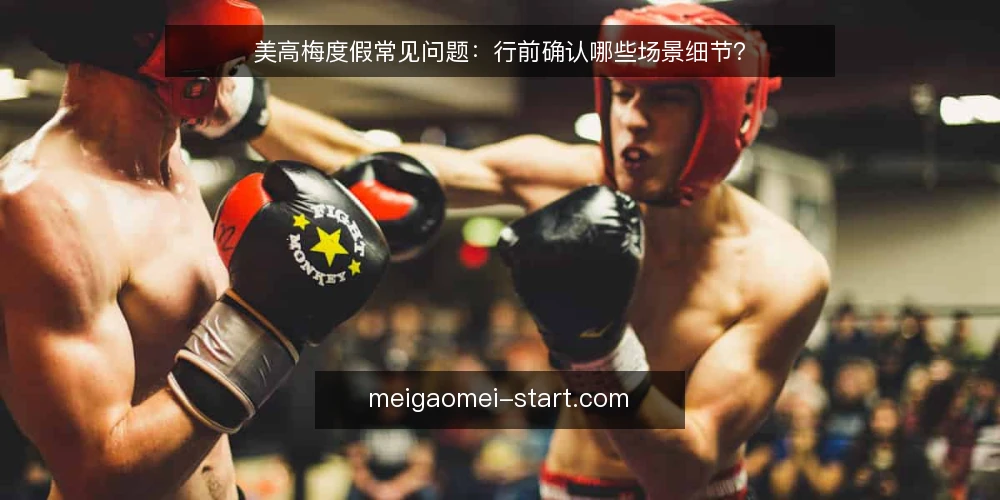 美高梅度假常见问题:行前确认哪些场景细节? — 为什么先确认场景再比较美高梅度假方案? 配图